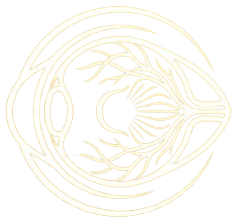 Vitreo Retinal surgeon